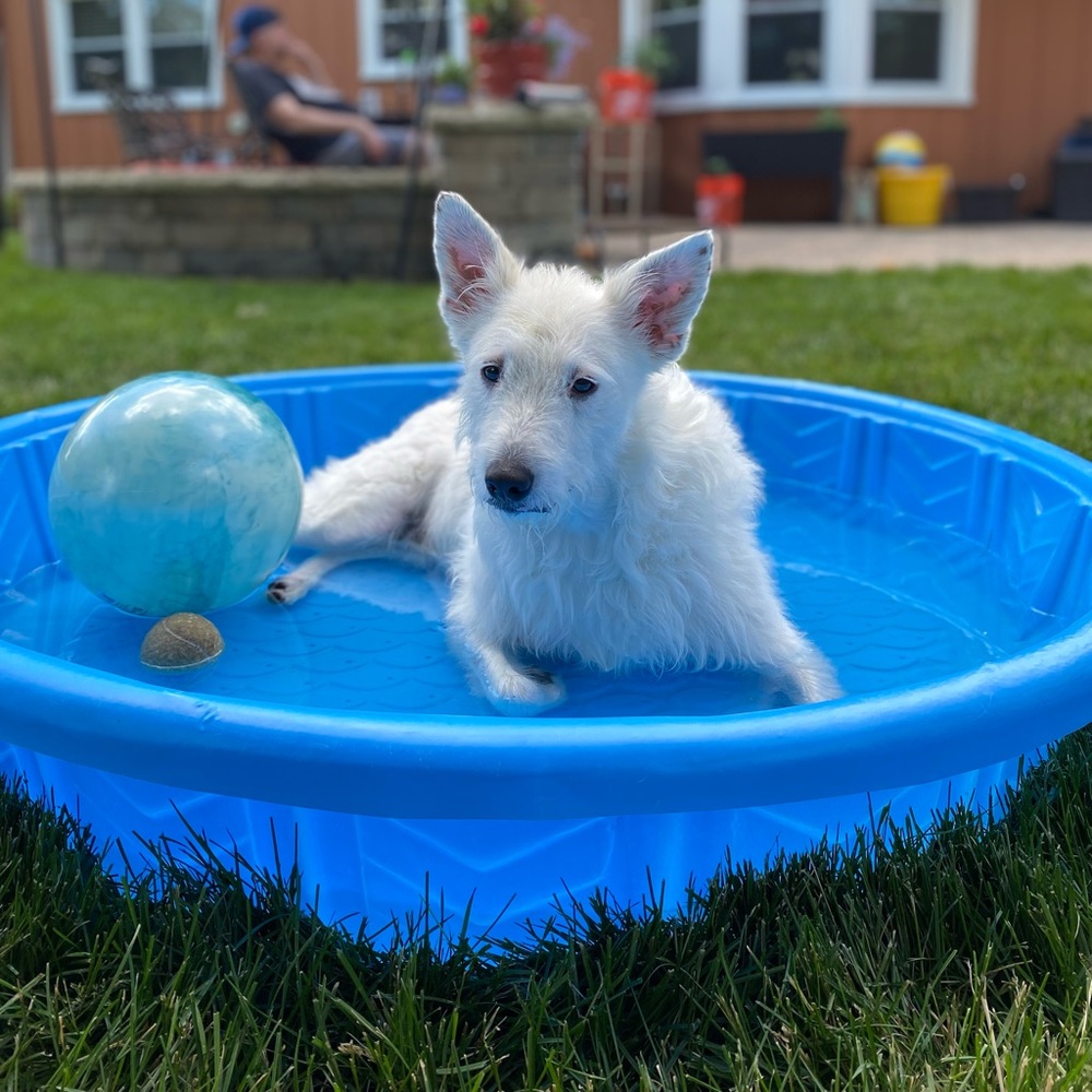 Meet your Posher, Judi